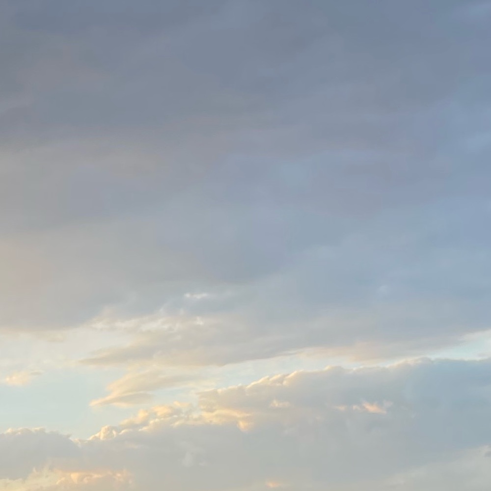 Meet your Posher, Savanna